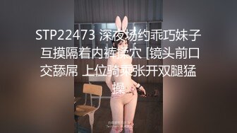 大象传媒 BDSM调教初体验-MOMO