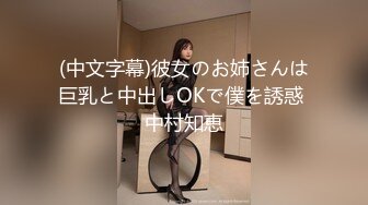 (中文字幕)彼女のお姉さんは巨乳と中出しOKで僕を誘惑 中村知恵