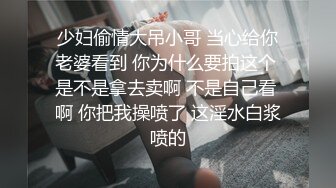 甜美酒窝极品小姐姐！一对豪乳超性感！撩起衣服露奶子，半脱下内裤翘肥臀，摇摆极度诱惑