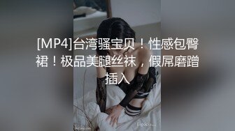 長腿名模面試被潛規則 黑絲高跟熱舞[MP4/2.85G]