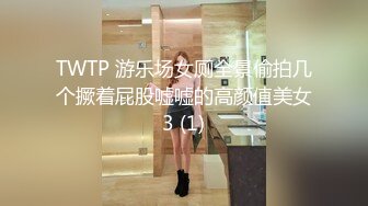 TWTP 游乐场女厕全景偷拍几个撅着屁股嘘嘘的高颜值美女3 (1)