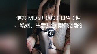 传媒 MDSR-0003-EP4《性、婚姻、生活》激情和爱情的厘清