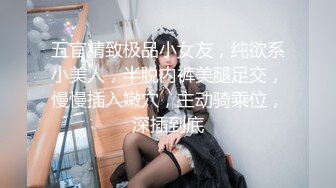 五官精致极品小女友，纯欲系小美人，半脱内裤美腿足交，慢慢插入嫩穴，主动骑乘位，深插到底