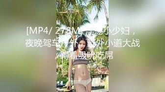 [MP4/ 278M] 淫荡小少妇，夜晚驾车户外，野外小道大战，蹲着吸吮吃屌