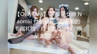 【OnlyFans】OF极品女神 Naomiii 付费福利，后备箱的专属礼物，打卡景点外拍，极品大屁股 24