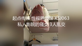 麻豆春游记兔子先生淫过年