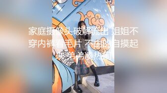 猫先生 酒吧带回来喝的微醺的巨乳小妖精