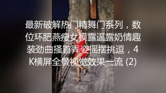 最新破解热门精舞门系列，数位环肥燕瘦女模露逼露奶情趣装劲曲搔首弄姿摇摆挑逗，4K横屏全景视觉效果一流 (2)