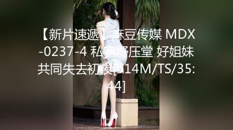 SAT0041 台北婊子图鉴1 SA国际传媒