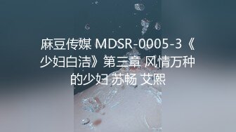 麻豆传媒 MDSR-0005-3《少妇白洁》第三章 风情万种的少妇 苏畅 艾熙