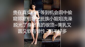 国产麻豆AV MCY MCY0013 新婚不久妻子换着玩 南芊允 沈娜娜