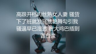 银家大院之夫人的吸哈教室 大象传媒 x 渡边传媒