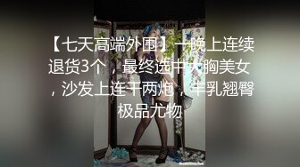 麻豆传媒【MDHT0002】奇淫旅社异地旅客的身体交流