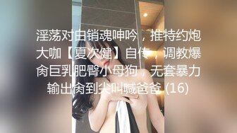 TWTP 大神潜入商场女厕全景偷拍多位美女嘘嘘第七季1