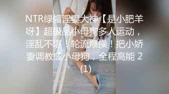 NTR绿帽淫妻大神【是小肥羊呀】超极品小母狗多人运动，淫乱不堪！轮流爆操！把小娇妻调教成小母狗，全程高能 2 (1)