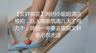 【加钱哥探花】深夜战挺能聊御姐，用屌磨蹭肥穴，掰开埋头舔，后入大屁股