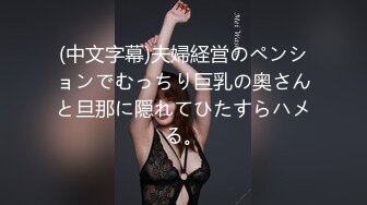 (中文字幕)夫婦経営のペンションでむっちり巨乳の奥さんと旦那に隠れてひたすらハメる。