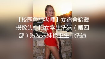 户外车震良家少妇（全集）