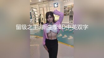 留级之王3新生季BD中英双字