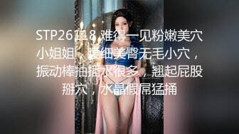 国产麻豆AV MSG MSG0001 迷情圣诞夜 新人女优 黎儿