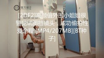 第一夫人S秘密LuxuriousHospitarity2016HD1080P日语中字