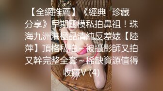 AI绘画 人工智能 动漫风模拟写实真人 淫荡 痴女 无修正[530P/112M]