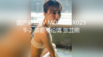 国产麻豆AV MDX MDX0239-2 禁断不伦情 张芸熙