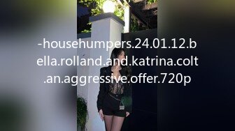 -househumpers.24.01.12.bella.rolland.and.katrina.colt.an.aggressive.offer.720p