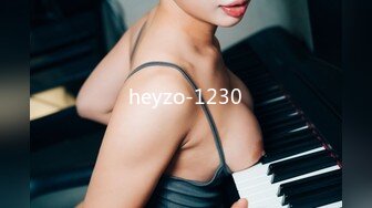 heyzo-1230