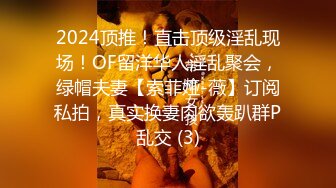 2024顶推！直击顶级淫乱现场！OF留洋华人淫乱聚会，绿帽夫妻【索菲娅-薇】订阅私拍，真实换妻肉欲轰趴群P乱交 (3)