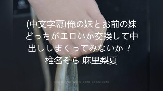 (中文字幕)俺の妹とお前の妹どっちがエロいか交換して中出ししまくってみないか？ 椎名そら 麻里梨夏